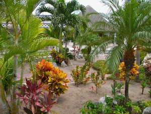 cozumelport-garden