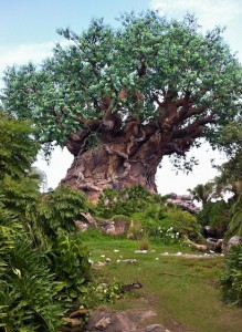 animalkingdom-lifetree