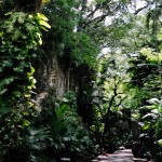 Nassau sites: Queen’s Staircase [Repost]