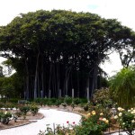 Ringling Museum: Bayfront Gardens [Repost]